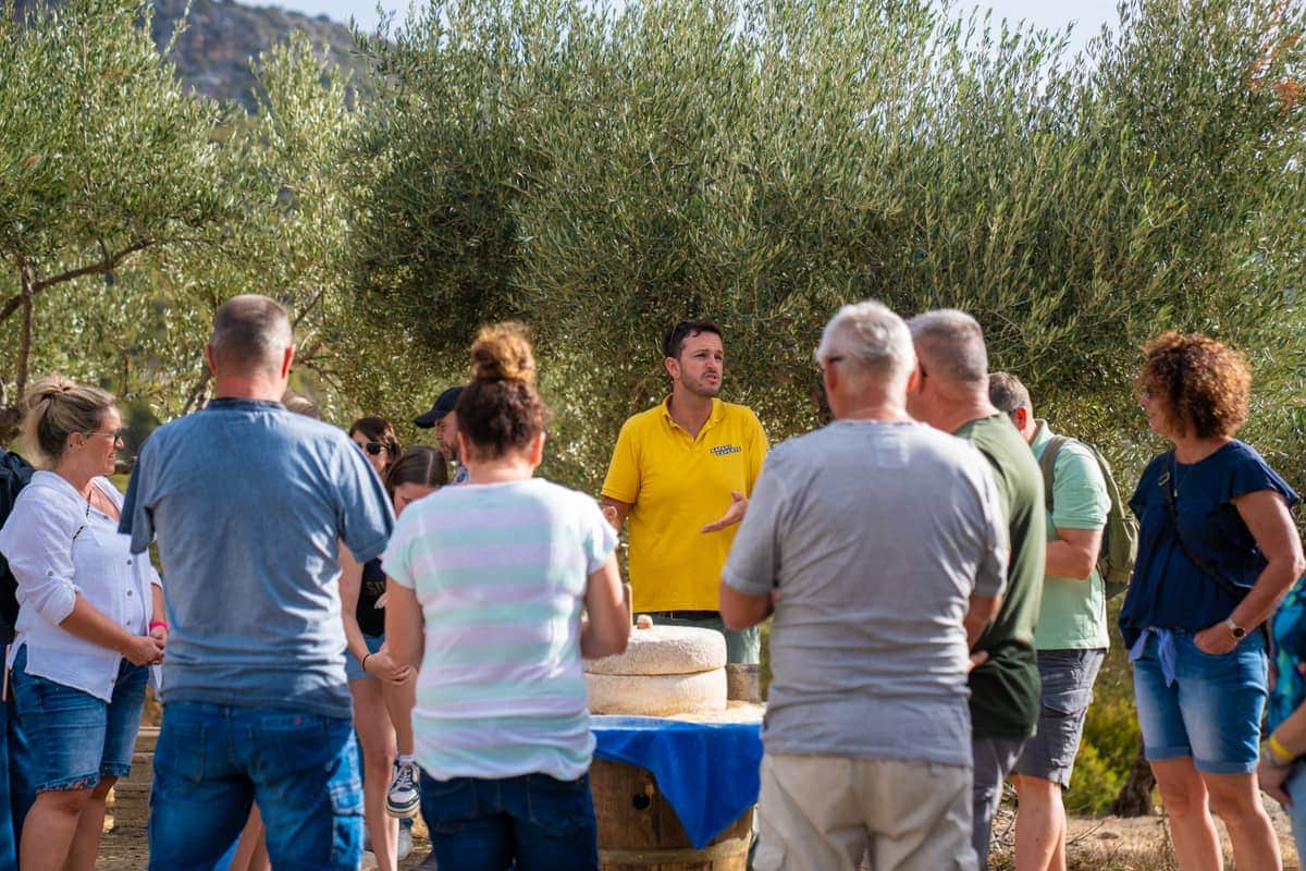 Jeep or Quad Safari in Crete: How to Choose Your Off-Road Day