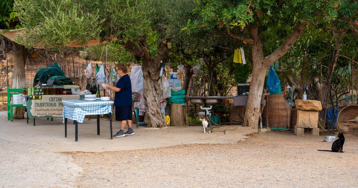 Best Safari Tours in Crete by Area: Heraklion, Lassithi and More