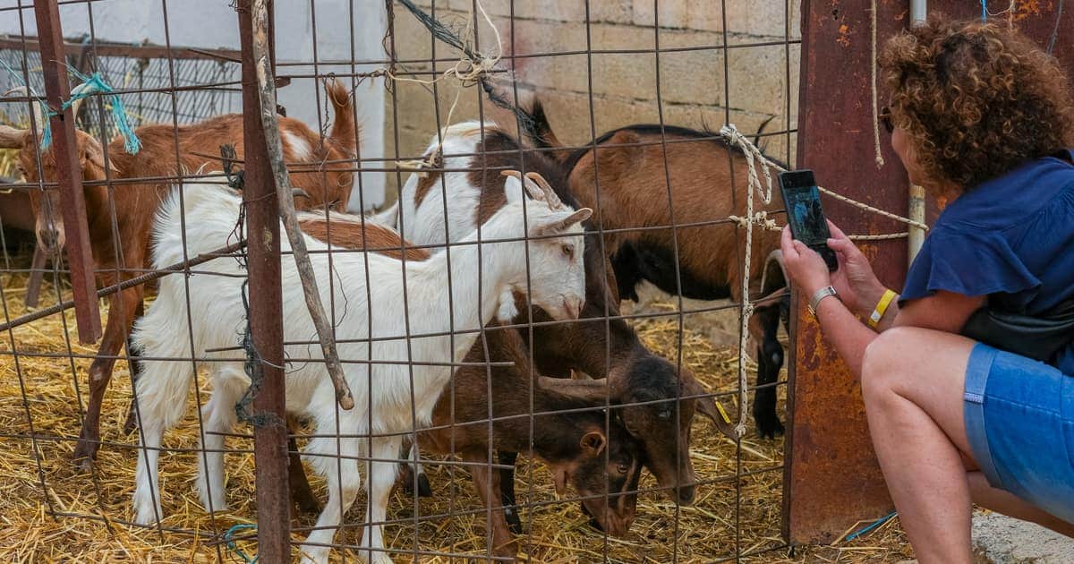 Quad Safari in Crete (2026): The Routes You Can Book from €95